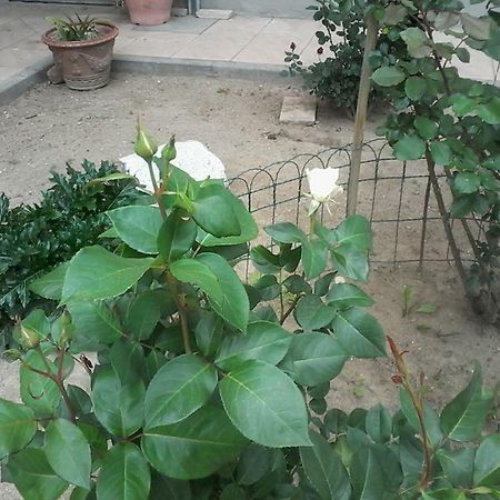 Perbacco Bed & Breakfast Sartirana Lomellina ภายนอก รูปภาพ